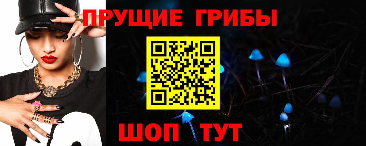 Галлюциногенные грибы GOLDEN TEACHER  Вход с VPN  Апшеронск 